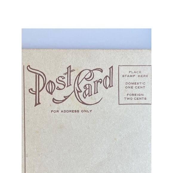 Antique Early 1900s Ephemera Litho Postcard Joyful Easter Religious Cross Floral - Picture 6 of 7